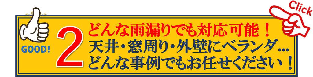 （2）どんな雨漏りでも対応可能！